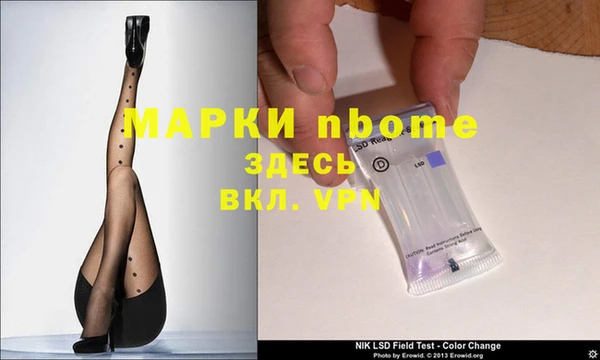 прущие грибы Абаза
