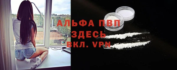 прущие грибы Абаза