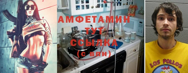 прущие грибы Абаза