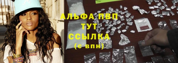 прущие грибы Абаза