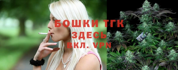 прущие грибы Абаза
