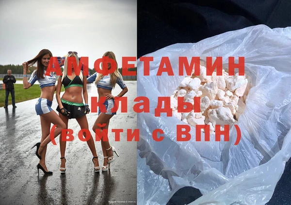 прущие грибы Абаза