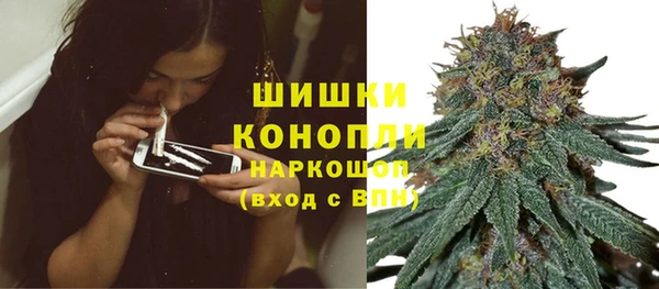 прущие грибы Абаза